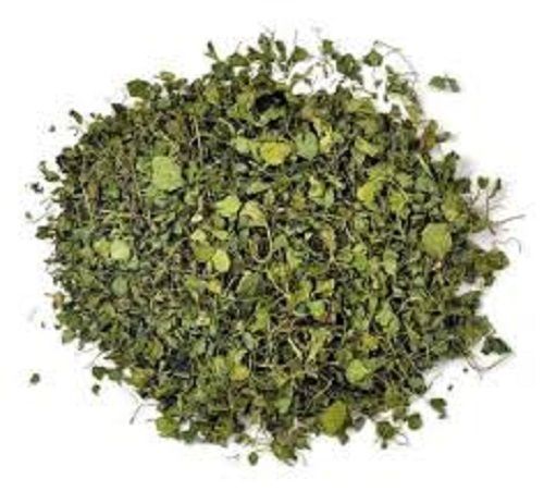 Rich Source Of Fiber And Protein Dried Fenugreek Leaves Used To Add Flavor And Aroma