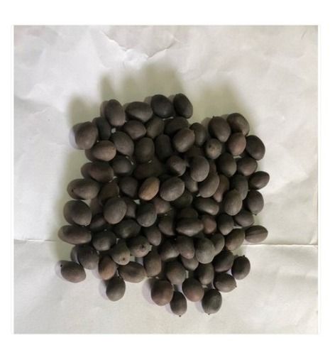 1 Kg Organic And Natural Black Lotus Seed For Garden And Bonsai Admixture (%): 1%