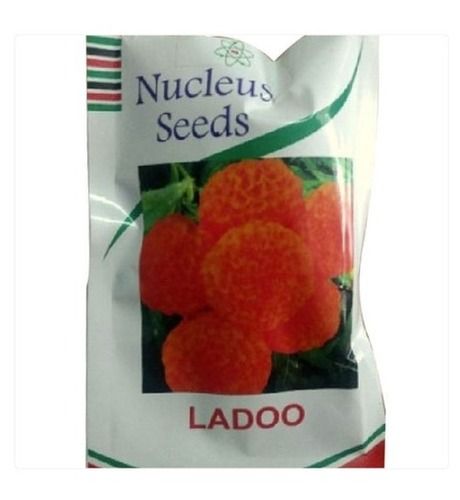 Dried And Cleaned Hybrid Marigold Flower Seed Application For Agriculture Admixture (%): 1%