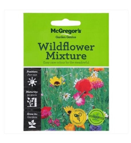 Dried And Cleaned Natural Mcgregor Wildflower Seed For Garden And Forest