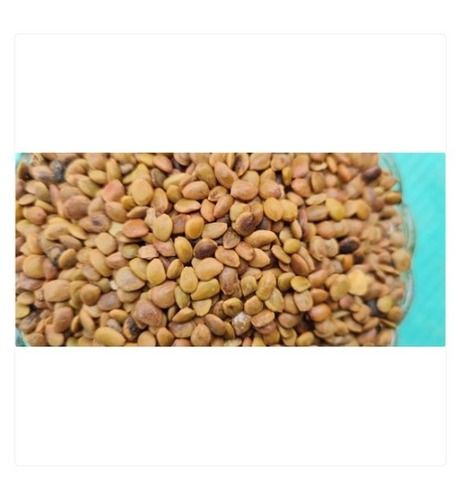 Dried And Cleaned Natural Organic Julie Flora Seed, 1kg Pack For Agriculture