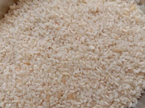 Medium Grain Tasty And Healthy White Samba Rice With 1 Year Shelf Life