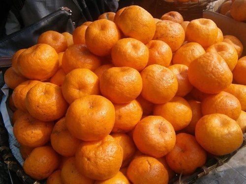 Sweet Fresh Mandarin Orange