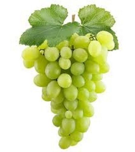 Fresh Green Grapes With All Minerals And All Health Benefits