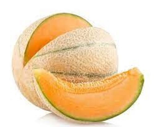 Fresh Sweet Melon With All Minerals And All Health Benefits Origin: Indian