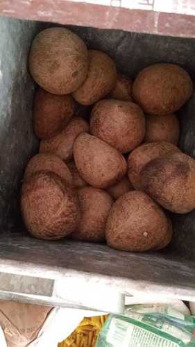 Wholesale Price 100% Pure And Fresh Brown Dry Coconut For Sweet