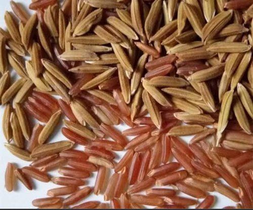 Long Grains Organic And Red Paddy Rice With 6 Months Shelf Life And 100% Purity