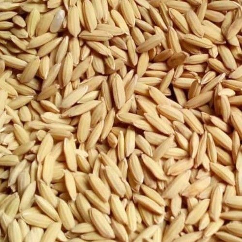 Medium Grain Brown Color Paddy Rice With 6 Months Shelf Life And Vitamin