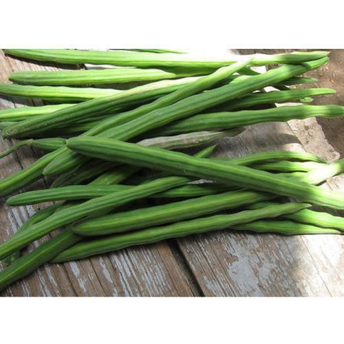 Pure And Fresh Green Drumstick With 3 Days Shelf Life And Health Benefits