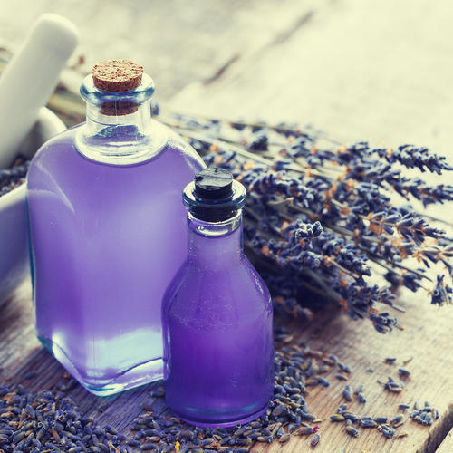 Purple Colour Lavender Fragrance Filled Long Lasting Perfume