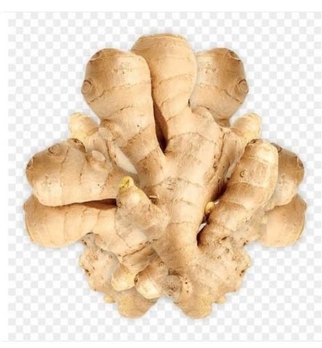 100 Percent Fresh And Pure 1 Kg A Grade Brown Fresh Ginger Vegetable For Cooking