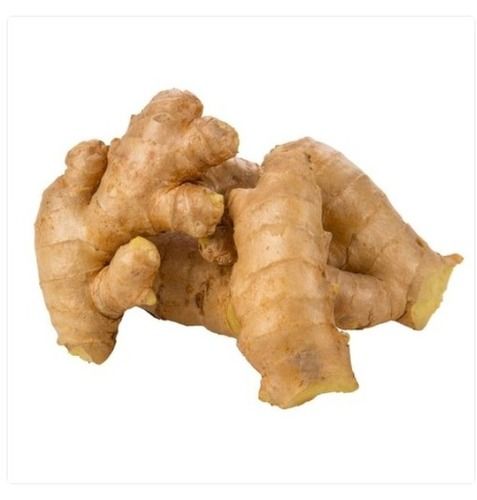 100 Percent Fresh And Pure Organic Natural Ginger Used For Cooking With Good Taste