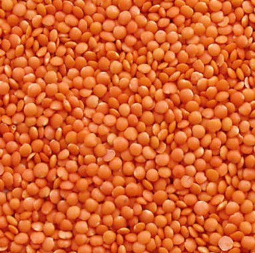 100% Pure And Organic Whole Form Round Shape 0.2 Grain Size Masoor Dal For Cooking Use