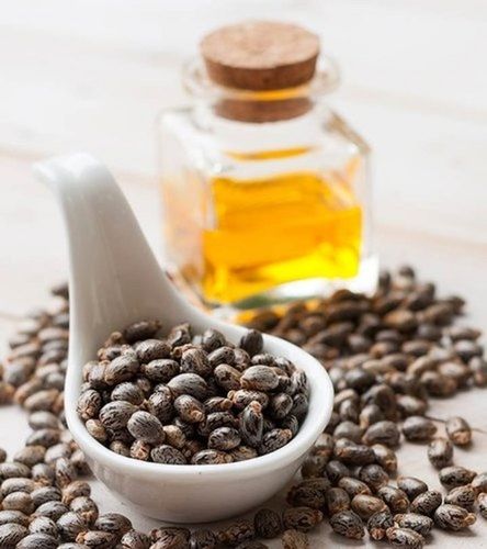 Cold Pressed Castor Seed Oil With 6 Months Shelf Life And Rich In Health Benefits