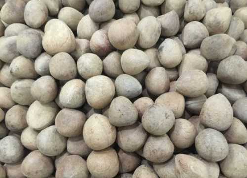 भूरा 100% शुद्ध और सूखा ऑर्गेनिक स्वस्थ और पौष्टिक ग्लूटेन मुक्त नारियल