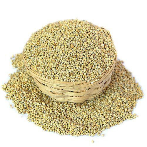 Green Pearl Millet With 6 Months Shelf Life And Rich In Vitamins B