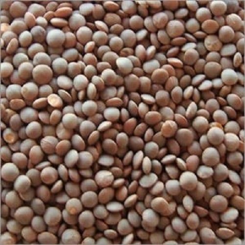 100% Organic Dried Masoor Dal Easy To Cook Rich In Protein Natural Taste For Cooking