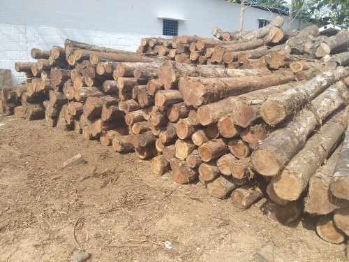 Termite Resistance Timber Wooden