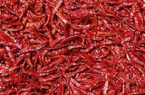 Elongated  Best Quality And Very Spicy Dry Red Chili