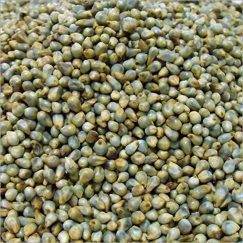 Healthy Natural Fine Taste Rich Fiber Dried Organic Green Pearl Millet Crop Year: 6 Months