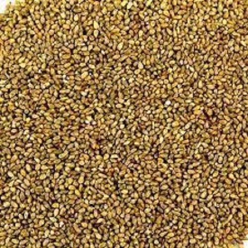 A Grade Highly Protein Rich Fiber Healthy Natural Taste Organic Bajra Seeds