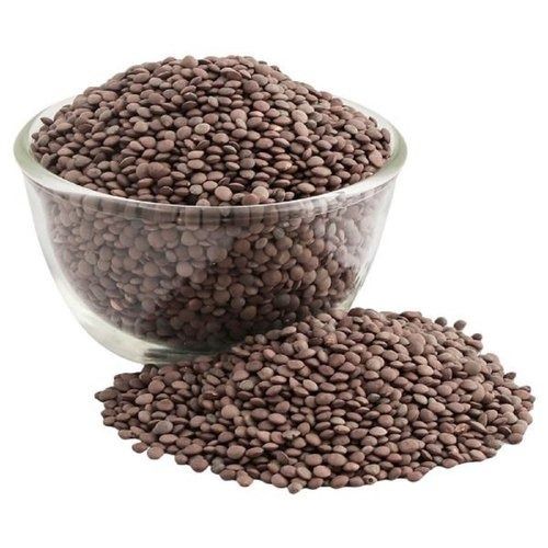Grey Organic Masoor Dal With High Nutritious Value And Rich Taste