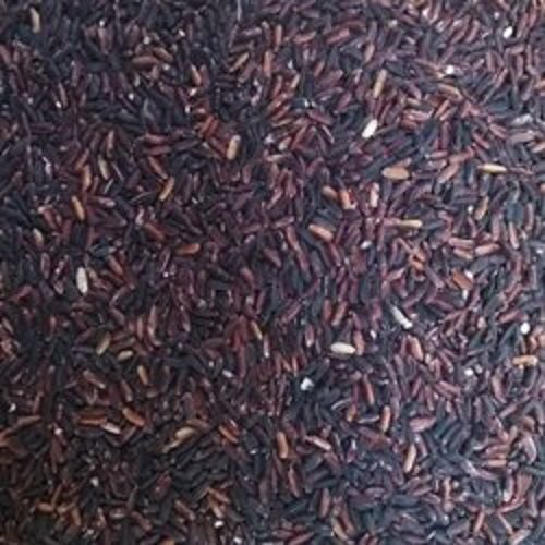 Natural Black Rice Useful In Maintaining Eye, Skin, And Immune Health And Protein