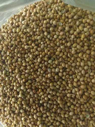 No Added Preservative And Chemical Rich Antioxidant Dried Whole Coriander Seeds Admixture (%): 5%