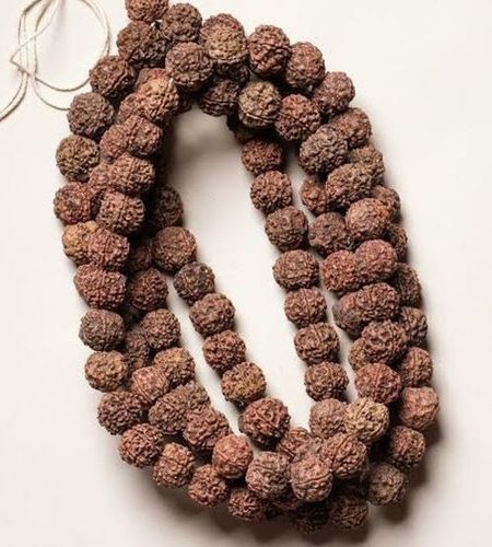 Plastic Brown Color 5 Mukhi Rudraksha Mala For Religious Use(Female And Male)