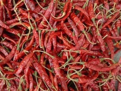 Dried Pesticide Free No Artificial Color Teja Red Chilli