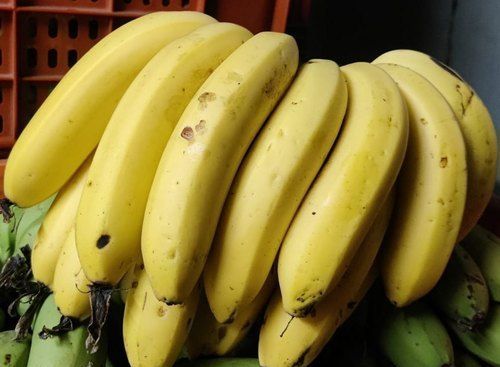 Rich Taste No Artificial Color Rich In Vitamins And Minerals Fresh Yellow Banana