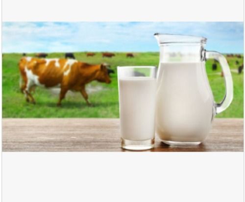 Delicious, Soy Free, Healthier And Tastier 100 Percent Pure Organic Cow Milk 1 Liter