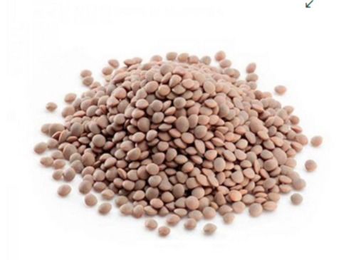 High Protein Pure Organic Fresh Black Masoor Dal For Cooking, Rich In Taste