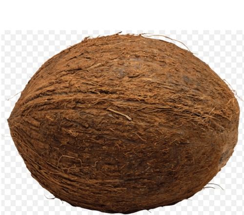 Brown Multiple Health Benefits, Natural Grown, Sorted And Graded Organic Fresh Mature Coconut