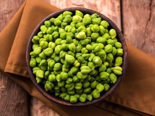 Organic And Fresh Green Chickpeas With 5 Months Shelf Life And 1% Broken