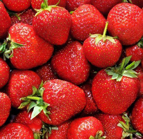 Common Rich In Taste Natural And Fresh Good Source Of Vitamin C Frozen Red Strawberry