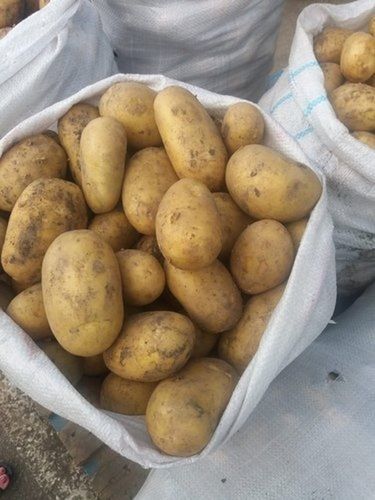 A Grade Fresh Potato With 2-3 Days Shelf life And Rich In Vitamin C, B6 And A