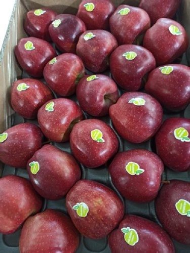 Red 100 Percent Natural And Rich In Vitamins Healthy Fresh Apple With Nutrition