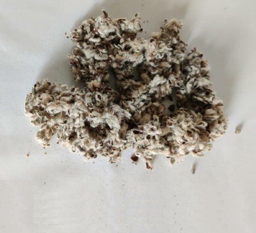 Natural Cotton Seed Hull For Animal Feeding, Plastics, Insulation And Oil