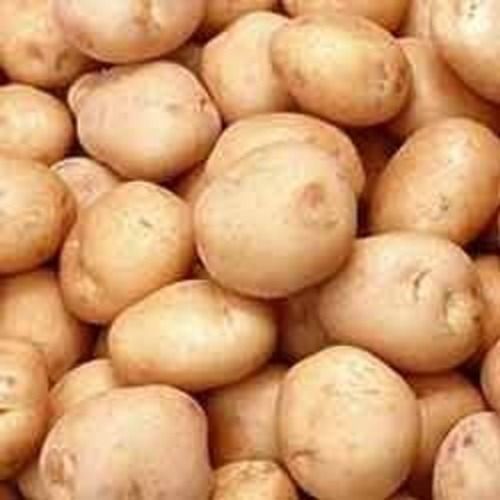 Round 100% Pure Fresh Potato For Cooking, Vegetable, Human Consumption, Potato Flakes