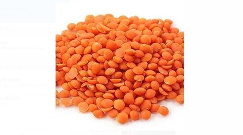 Pure Organic Dried Orange Masoor Dal With High Nutritious Value
