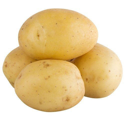 Yellowish Brown A Grade Fresh Potato With 1 Week Shelf Life And Rich In Vitamin B And A