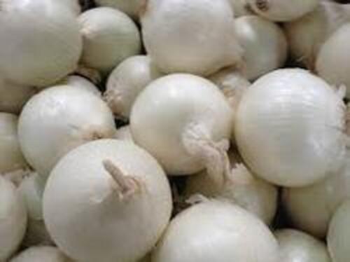 A Grade And Pure White Onion For Cooking Uses With High Nutritious Value Shelf Life: 1 Months