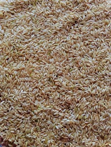 Commonly Cultivated Indian Originated Sun-Dried Short Grain Brown Rice, 1kg