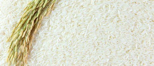 Multiple Health Benefits, Fluffy, Rich Protein And Creamy White Ponni Raw Rice 1Kg Crop Year: Current Years Years