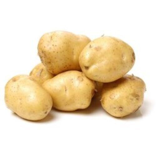 Pure And Natural Brown Fresh Potato With High Nutritious Value