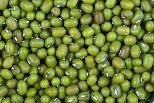 100% Pure And Organic Green Moong Dal For Cooking, Hygienically Packed