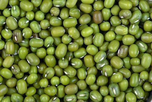 100% Pure And Organic Green Moong Dal For Cooking, Hygienically Packed Admixture (%): 10%