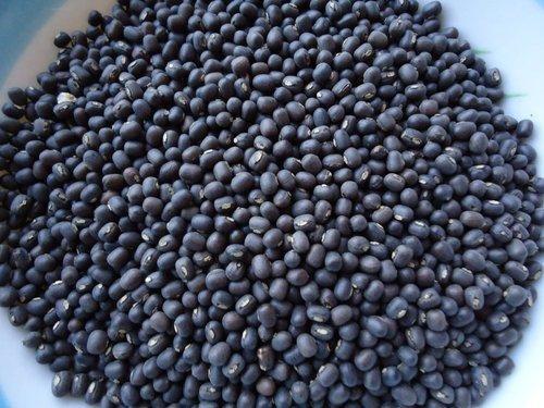 100% Organic Black Soy Bean, Rich In Fiber And Essential Amino Acids Admixture (%): 20%