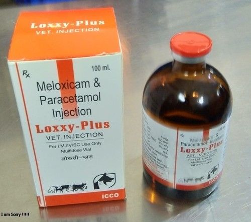 Meloxicam And Paracetamol Injection